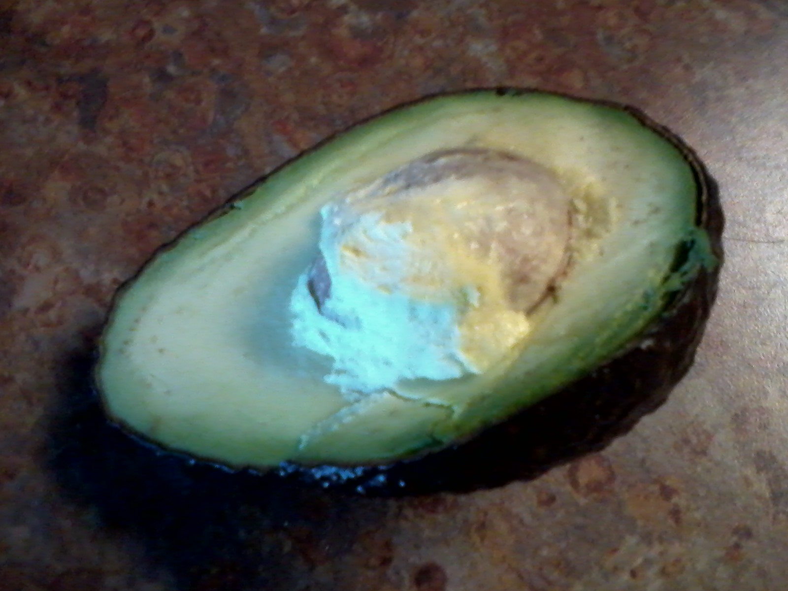 avocado.jpg