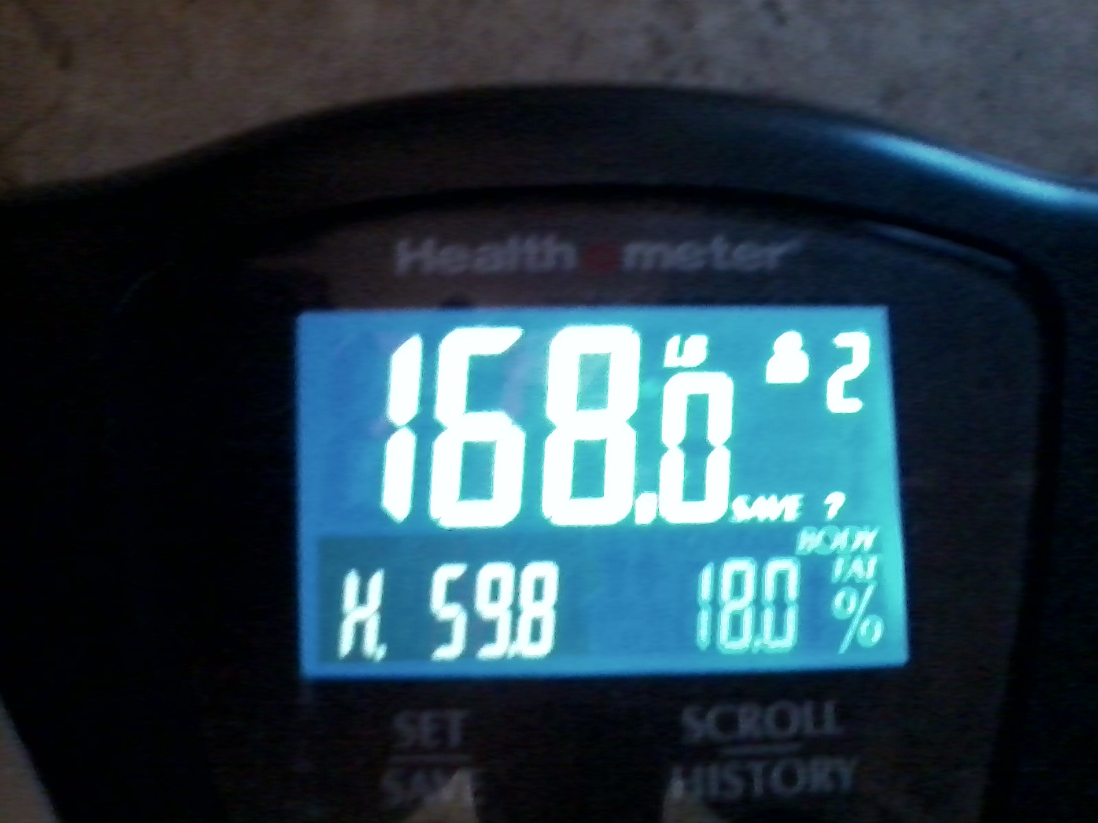 body_fat_scale.jpg
